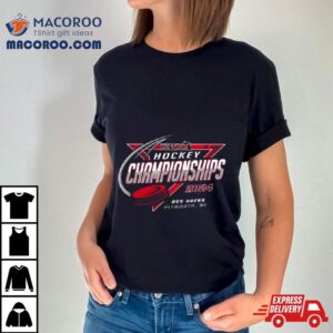 Mhsaa Hockey Championships Usa Arena Plymouth Mi Tshirt