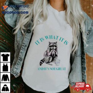 Raccoon It Is What It Is And It Is Not Great Classic Tshirt