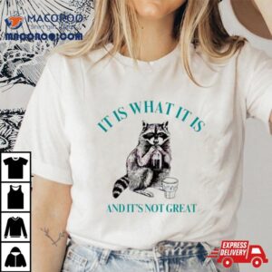 Raccoon It Is What It Is And It Is Not Great Classic Shirt 1 Raccoon It Is What It Is And It Is Not Great Classic Tshirt