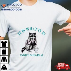 Raccoon It Is What It Is And It Is Not Great Classic Shirt 2 Raccoon It Is What It Is And It Is Not Great Classic Tshirt