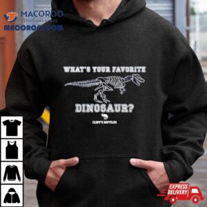What’s Your Favorite Dinosaur Shirt