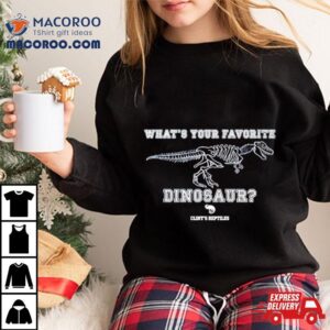 What S Your Favorite Dinosaur Tshirt