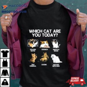 Which Cat Are You Today Golden Cromch Smooth Brain Tiny Criminal Chonk Violent Impulses Shirt