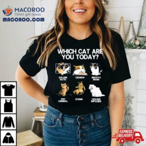 Which Cat Are You Today Golden Cromch Smooth Brain Tiny Criminal Chonk Violent Impulses Tshirt