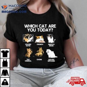 Which Cat Are You Today Golden Cromch Smooth Brain Tiny Criminal Chonk Violent Impulses Tshirt