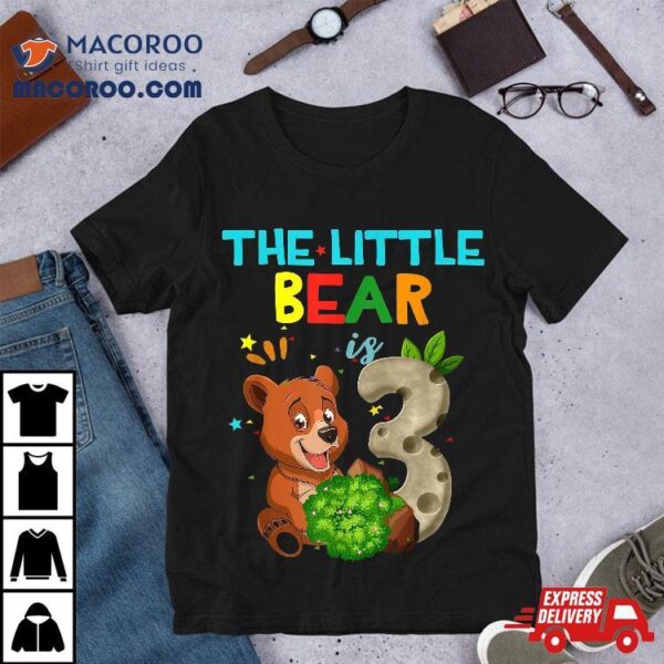 3rd Birthday Shirt Bear 3 Year Old