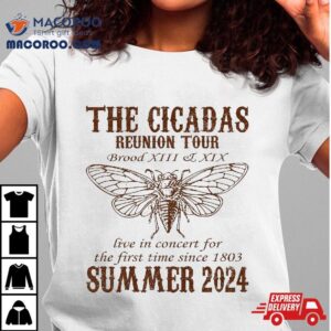 Cicada Brood Xiii Xix Summer Reunion Tour Swarm Cicadas Tshirt