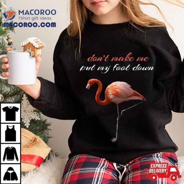 Flamingo Don’t Make Me Put My Foot Down Summer Shirt