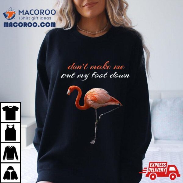 Flamingo Don’t Make Me Put My Foot Down Summer Shirt