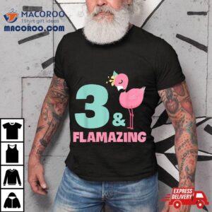 Flamingo Girl Birthday Party Theme Years Old Amp Flamazing Tshirt