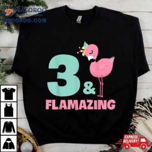 Flamingo Girl Birthday Party Theme Years Old Amp Flamazing Tshirt