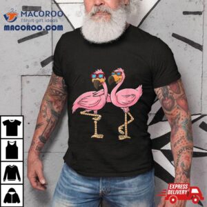 Funny Flamingo Birds Tshirt