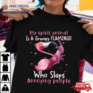 My Spirit Animal Is A Grumpy Flamingo Funny Lovers Shirt