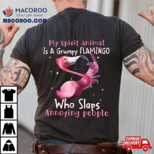 My Spirit Animal Is A Grumpy Flamingo Funny Lovers Tshirt