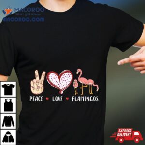 Peace Love Flamingo Gifts For Kids Girls Flamingos Tshirt