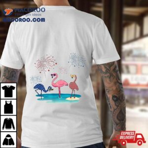 Red White Blue Flamingo Fireworks Th Of July Gifts Tshirt