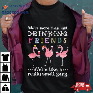 We Re More Than Just Drinking Friends Funny Flamingos T Tshirt