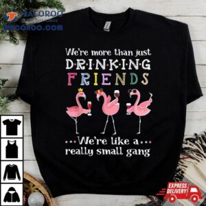 We Re More Than Just Drinking Friends Funny Flamingos T Tshirt