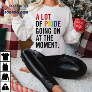 A Lot Of Pride Going On At The Momenshirt