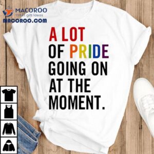 A Lot Of Pride Going On At The Momen Tshirt
