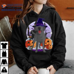 Funny Black Lab Labrador Dog Halloween Witch Pumpkin Shirt