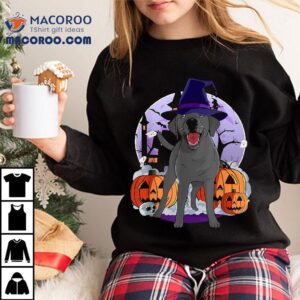 Funny Black Lab Labrador Dog Halloween Witch Pumpkin Tshirt