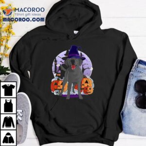 Funny Black Lab Labrador Dog Halloween Witch Pumpkin Tshirt