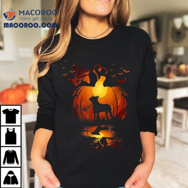 Funny Boston Terrier Dog In The Pumpkin Halloween Autumn Shirt