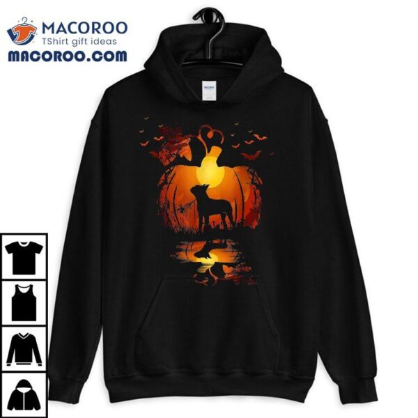 Funny Boston Terrier Dog In The Pumpkin Halloween Autumn Shirt