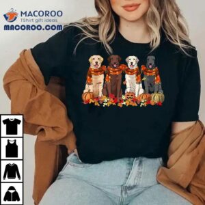 Fall Autumn Pumpkin Labrador Retriever Thanksgiving Dog Mom Shirt