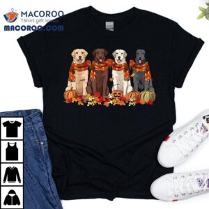 Fall Autumn Pumpkin Labrador Retriever Thanksgiving Dog Mom Tshirt