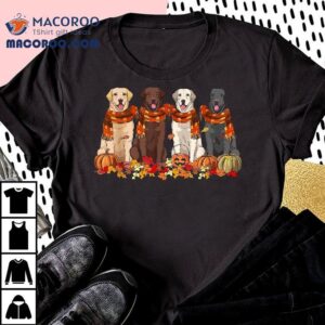 Fall Autumn Pumpkin Labrador Retriever Thanksgiving Dog Mom Tshirt