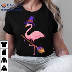 Halloween Flamingo Funny Lover Witch Has Tshirt