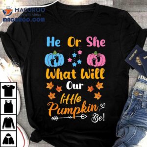 He Or She What Will Our Little Pumpkin Be Thanksgiving Funny Tshirt