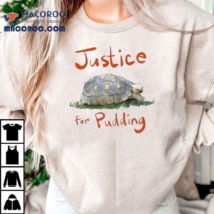 Turtle Justice For Pudding Shirt 2 Turtle Justice For Pudding Tshirt