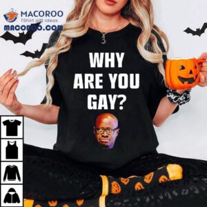 Why Are You Gay Gae Meme Shirt 3 Why Are You Gay Gae Meme Tshirt
