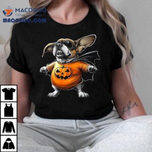 Basset Hound Halloween Hero Funny Dog Lover Yk Cute Costume Tshirt