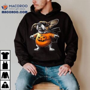 Basset Hound Halloween Hero Funny Dog Lover Yk Cute Costume Tshirt