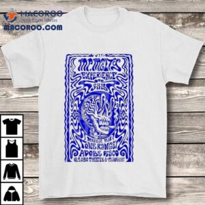 The Mr. Melty Experience Albuquerque Nm March 14 2025 Shirt