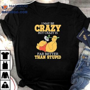Winnie Pooh I May Be Crazy But Crazy Is Far Better Than Stupid Shirt