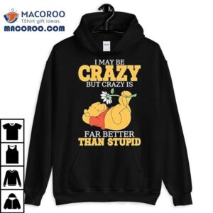 Winnie Pooh I May Be Crazy But Crazy Is Far Better Than Stupid Shirt