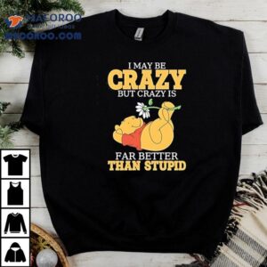 Winnie Pooh I May Be Crazy But Crazy Is Far Better Than Stupid Tshirt