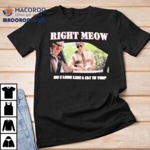 Broken Lizard Right Meow Do I Look Like A Cat To You Shirt