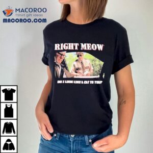Broken Lizard Right Meow Do I Look Like A Cat To You Tshirt