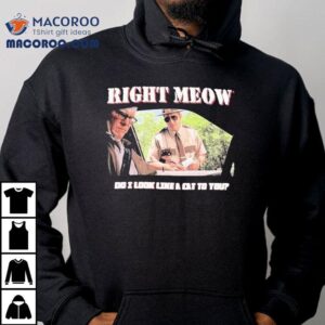 Broken Lizard Right Meow Do I Look Like A Cat To You Tshirt