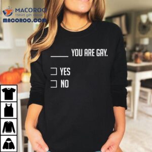 You Are Gay Yes No Tshirt