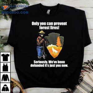 Bear Only You Can Prevent Forest Fires Seriously We’ve Been Defunded It’s Just You Now Shirt