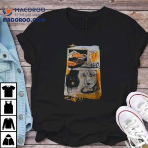 Hayley Williams Who Am I Without You Now Ar Tshirt