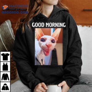 Good Morning Sphynx Cat Graphic Shirt