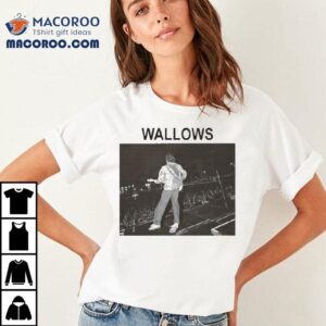 Wallows Stage Crowd Photo Shirt